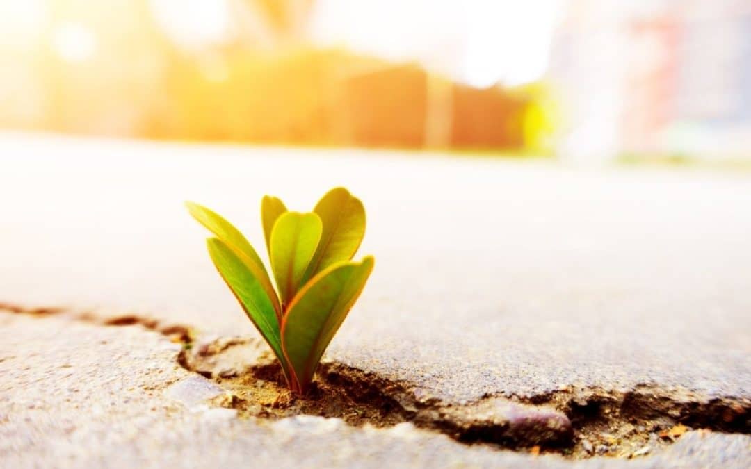 How Do You Maintain Outdoor Concrete?